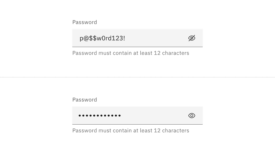 Example of a password input